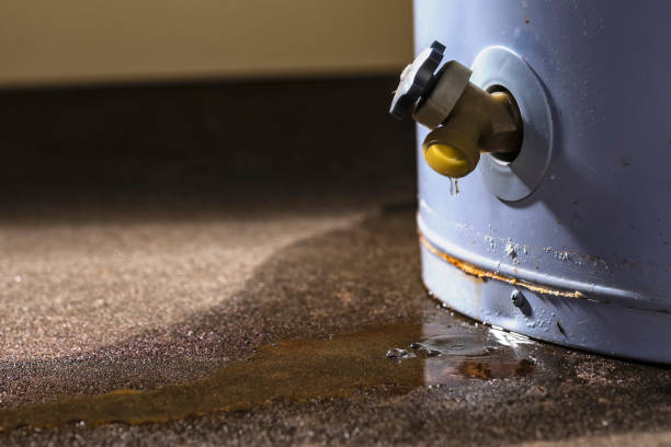 Best Basement water damage restoration  in Green Village, NJ