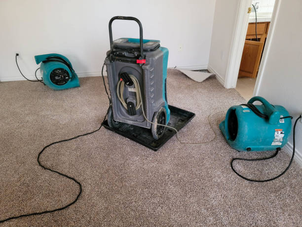Best Flood damage cleanup  in Green Village, NJ