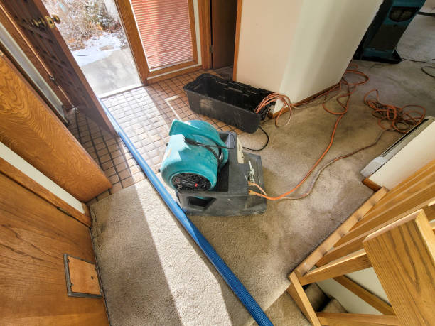 Best Flood restoration services  in Green Village, NJ