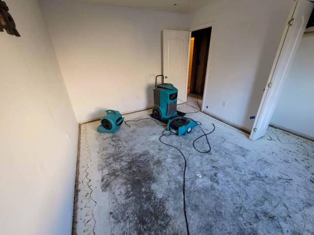  Green Village, NJ Water damage restoration Pros