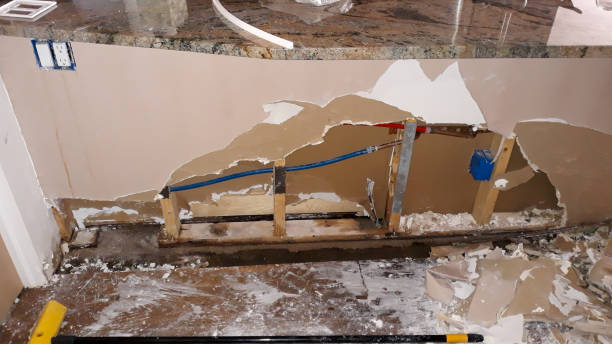 Best Water damage restoration near me  in Green Village, NJ
