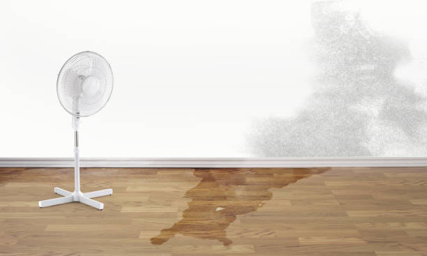 Best Ceiling water damage repair  in Green Village, NJ