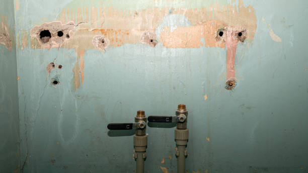 Water damage restoration mold remediation in Green Village, NJ
