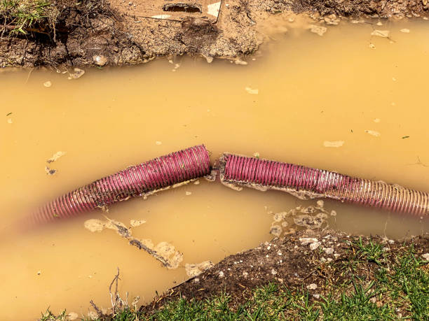 Best 24-hour water damage restoration  in Green Village, NJ